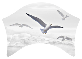 Journey Home Clouds White